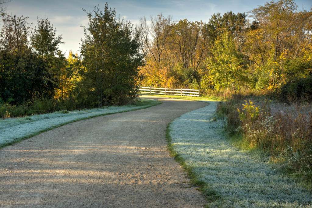 A Walk through raven Wood Forest Preserve